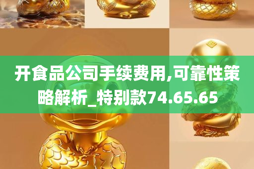 开食品公司手续费用,可靠性策略解析_特别款74.65.65