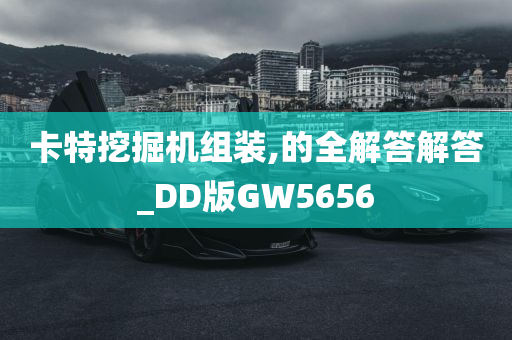 卡特挖掘机组装,的全解答解答_DD版GW5656