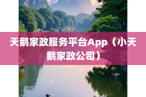 天鹅家政服务平台App（小天鹅家政公司）