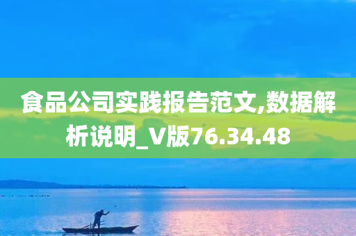 食品公司实践报告范文,数据解析说明_V版76.34.48