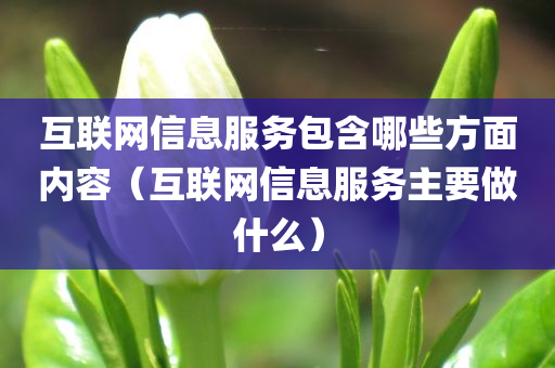 互联网信息服务包含哪些方面内容（互联网信息服务主要做什么）