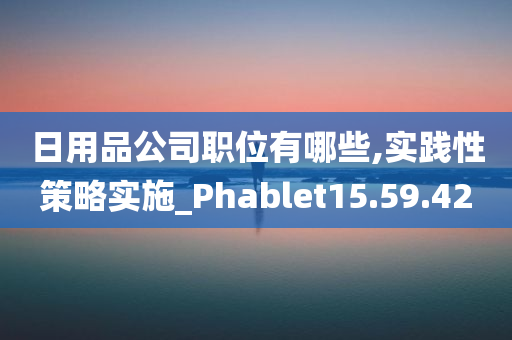 日用品公司职位有哪些,实践性策略实施_Phablet15.59.42