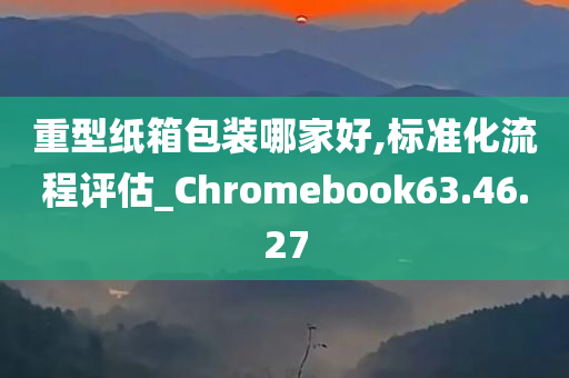 重型纸箱包装哪家好,标准化流程评估_Chromebook63.46.27