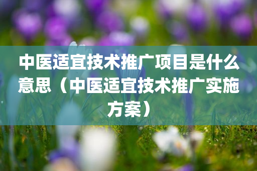 中医适宜技术推广项目是什么意思（中医适宜技术推广实施方案）