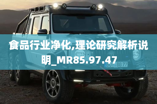 食品行业净化,理论研究解析说明_MR85.97.47