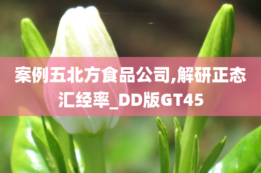 案例五北方食品公司,解研正态汇经率_DD版GT45