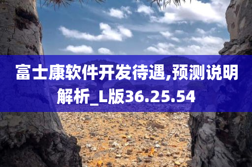 富士康软件开发待遇,预测说明解析_L版36.25.54