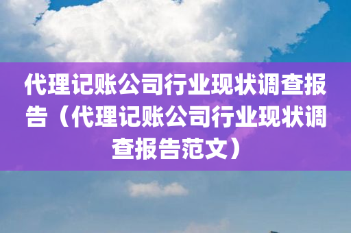 代理记账公司行业现状调查报告（代理记账公司行业现状调查报告范文）