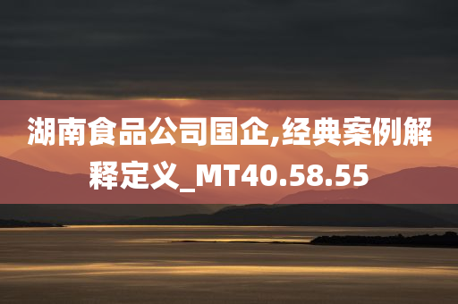 湖南食品公司国企,经典案例解释定义_MT40.58.55