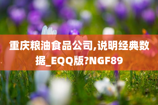 重庆粮油食品公司,说明经典数据_EQQ版?NGF89