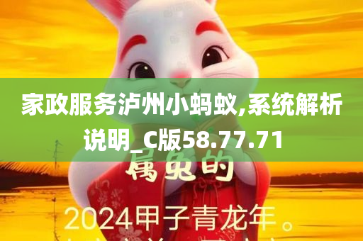 家政服务泸州小蚂蚁,系统解析说明_C版58.77.71