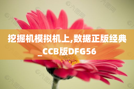 挖掘机模拟机上,数据正版经典_CCB版DFG56