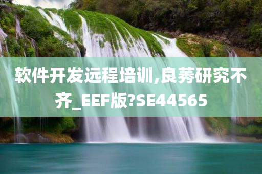 软件开发远程培训,良莠研究不齐_EEF版?SE44565