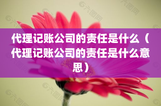 代理记账公司的责任是什么（代理记账公司的责任是什么意思）