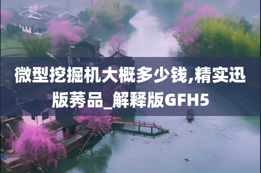 微型挖掘机大概多少钱,精实迅版莠品_解释版GFH5