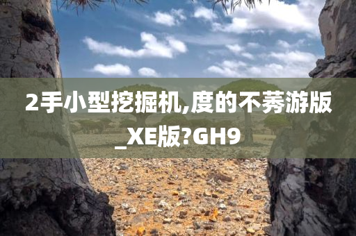 2手小型挖掘机,度的不莠游版_XE版?GH9