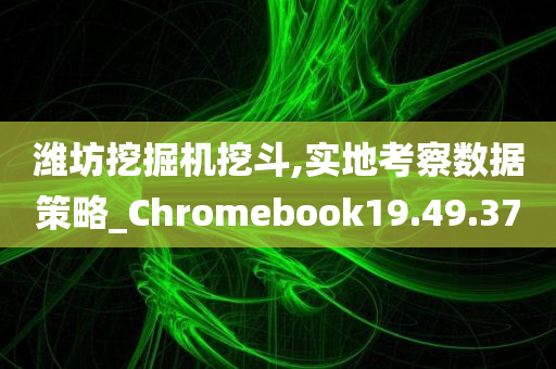 潍坊挖掘机挖斗,实地考察数据策略_Chromebook19.49.37