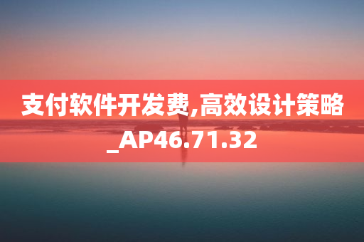 支付软件开发费,高效设计策略_AP46.71.32