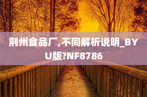 荆州食品厂,不同解析说明_BYU版?NF8786