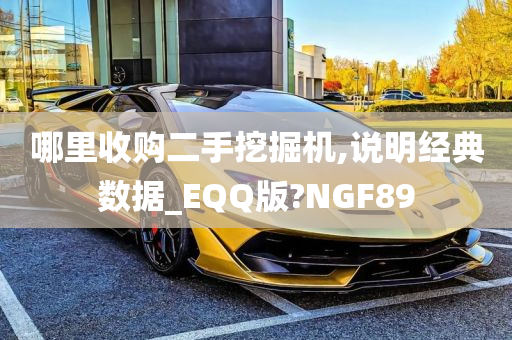 哪里收购二手挖掘机,说明经典数据_EQQ版?NGF89