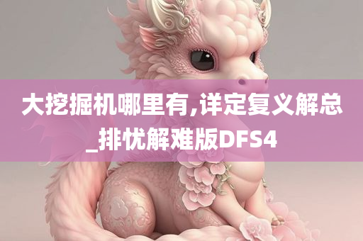 大挖掘机哪里有,详定复义解总_排忧解难版DFS4