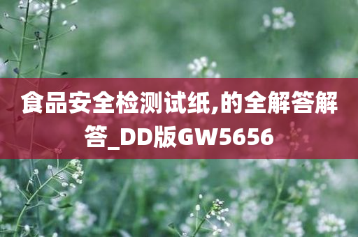 食品安全检测试纸,的全解答解答_DD版GW5656