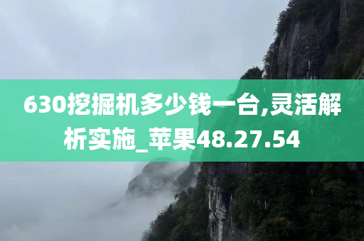 630挖掘机多少钱一台,灵活解析实施_苹果48.27.54