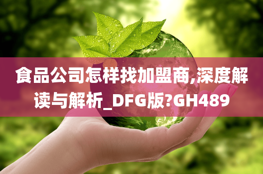 食品公司怎样找加盟商,深度解读与解析_DFG版?GH489