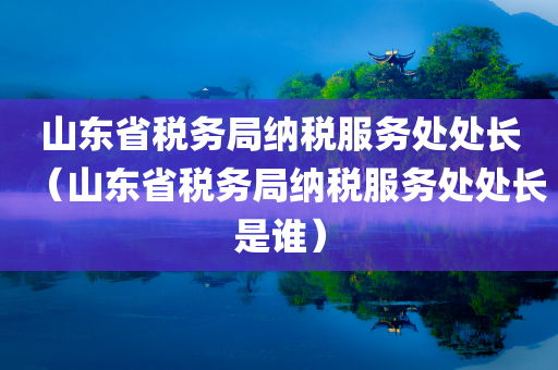 山东省税务局纳税服务处处长（山东省税务局纳税服务处处长是谁）