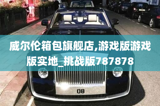 威尔伦箱包旗舰店,游戏版游戏版实地_挑战版787878