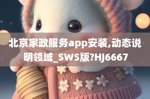 北京家政服务app安装,动态说明领域_SWS版?HJ6667