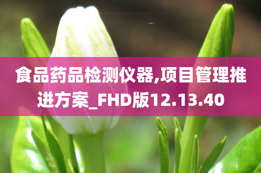 食品药品检测仪器,项目管理推进方案_FHD版12.13.40