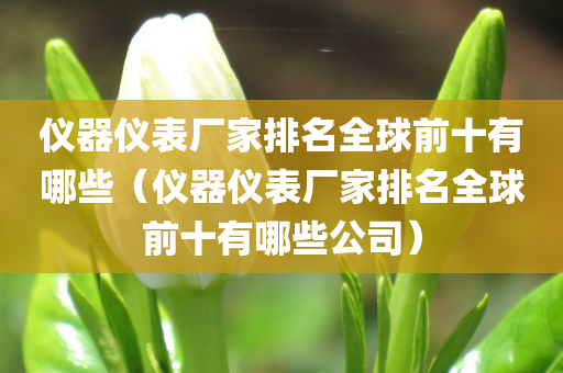 仪器仪表厂家排名全球前十有哪些（仪器仪表厂家排名全球前十有哪些公司）