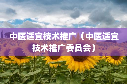 中医适宜技术推广（中医适宜技术推广委员会）