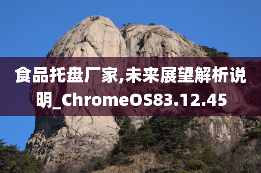 食品托盘厂家,未来展望解析说明_ChromeOS83.12.45