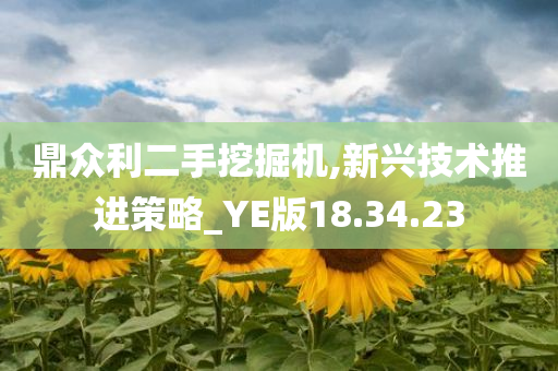 鼎众利二手挖掘机,新兴技术推进策略_YE版18.34.23