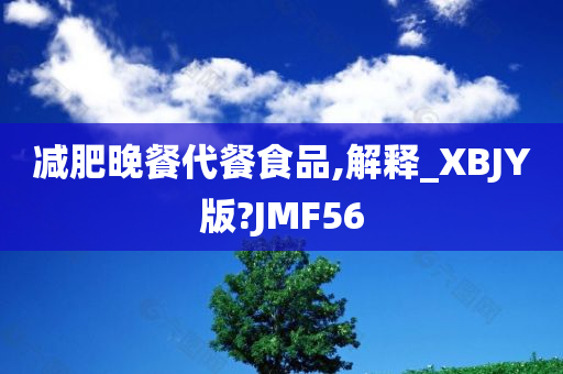 减肥晚餐代餐食品,解释_XBJY版?JMF56