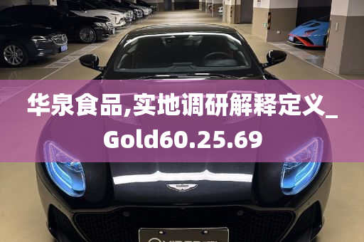 华泉食品,实地调研解释定义_Gold60.25.69