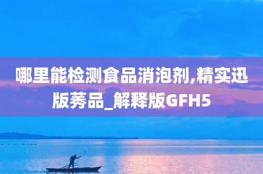 哪里能检测食品消泡剂,精实迅版莠品_解释版GFH5