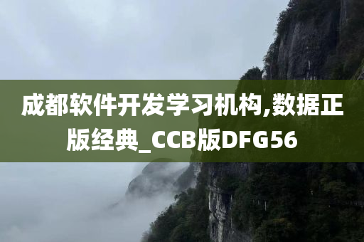 成都软件开发学习机构,数据正版经典_CCB版DFG56