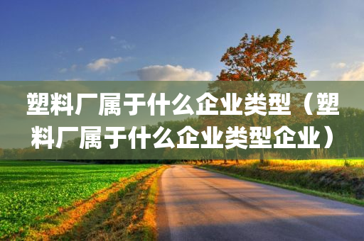 塑料厂属于什么企业类型（塑料厂属于什么企业类型企业）