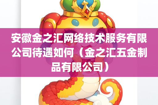 安徽金之汇网络技术服务有限公司待遇如何（金之汇五金制品有限公司）