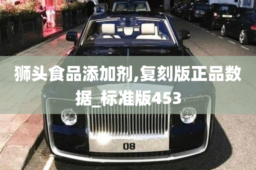 狮头食品添加剂,复刻版正品数据_标准版453