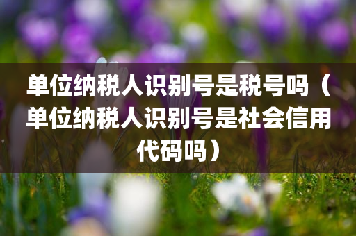 单位纳税人识别号是税号吗（单位纳税人识别号是社会信用代码吗）