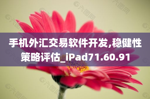 手机外汇交易软件开发,稳健性策略评估_iPad71.60.91