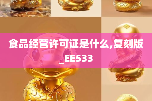 食品经营许可证是什么,复刻版_EE533