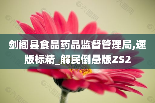 剑阁县食品药品监督管理局,速版标精_解民倒悬版ZS2