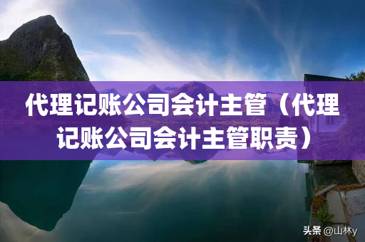 代理记账公司会计主管（代理记账公司会计主管职责）