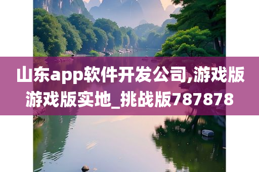 山东app软件开发公司,游戏版游戏版实地_挑战版787878