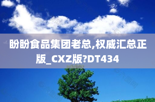 盼盼食品集团老总,权威汇总正版_CXZ版?DT434